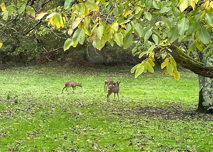 Uniquely Private In The Charente *