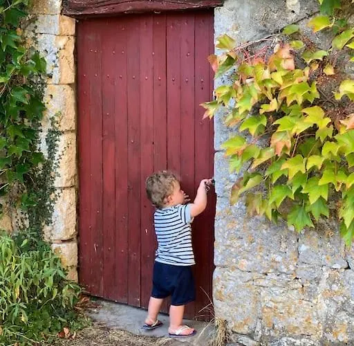 Uniquely Private In The Charente * Puyreaux